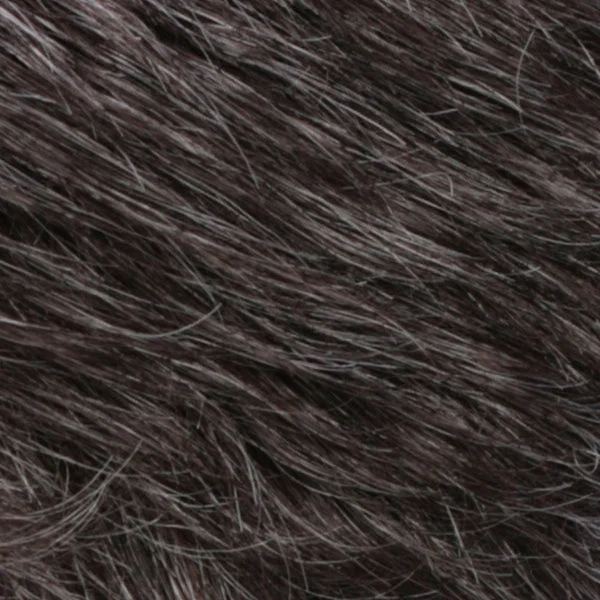 R34 | Dark Brown w/25% Grey