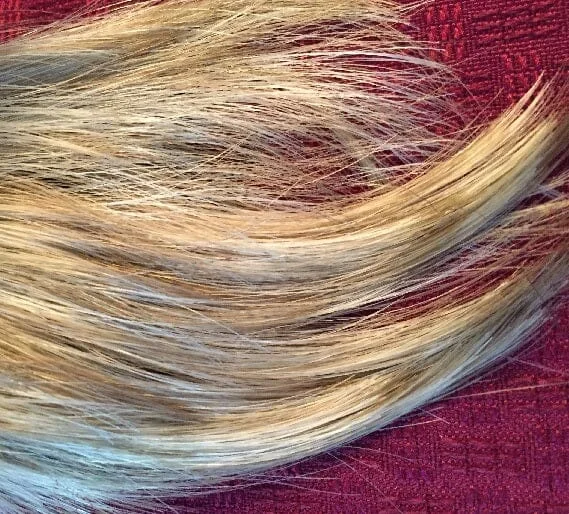 Envy Sparkling Champagne Not Rooted(HumanHairOnly)