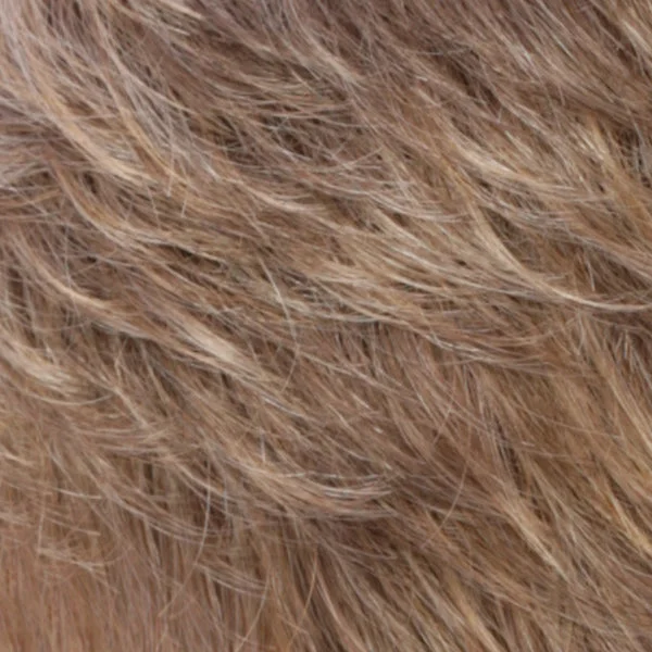 HONEYTOAST | Light Brown w/Pale Golden Blonde Highlights